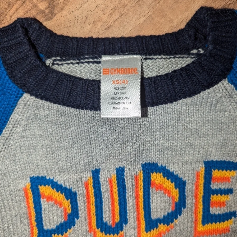 Kids Gymboree XS, size 4 Dude sweater. Boys sweater.